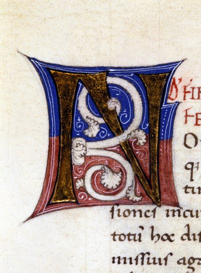 Alfabeto: lettera miniaturizzata N da Unknown artist