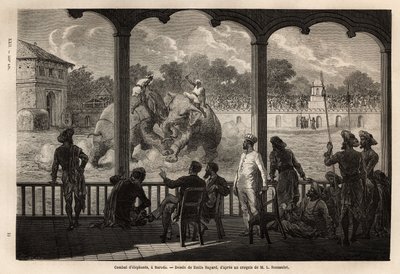 Una lotta tra elefanti, a Baroda (o Vadodara), stato del Gujarat sulla costa nord-orientale dell