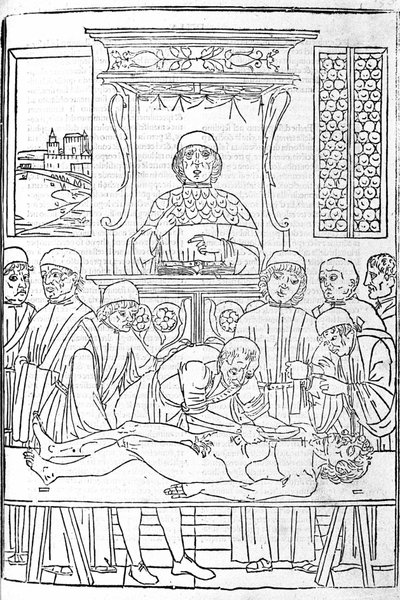 Dissezione anatomica. Incisione da un trattato di Medicina di Gerolamo Cardano, Firenze da Unknown artist