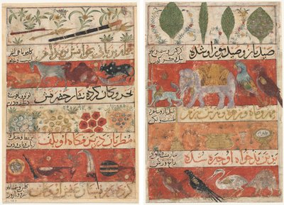 Animali, pietre preziose, monete e strumenti musicali (recto); Animali, uccelli e piante (verso) da Mu