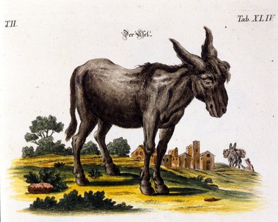 Ankey. Rappresentazione del XVIII secolo da Unknown artist
