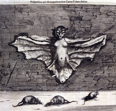 Pipistrelli e ratti. "De China Monumenta" di Athanasius Kircher da Unknown artist