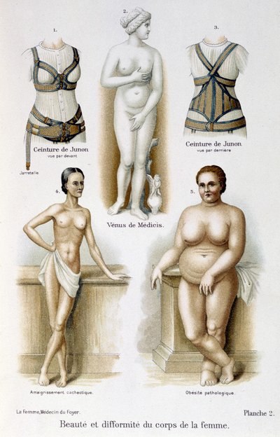 Bellezza e deformità del corpo femminile (magrezza e obesità); cinture di Giunone - in La donna, medico di casa da Unknown artist