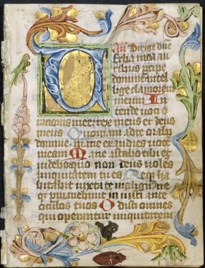 Bifolio da un Libro d