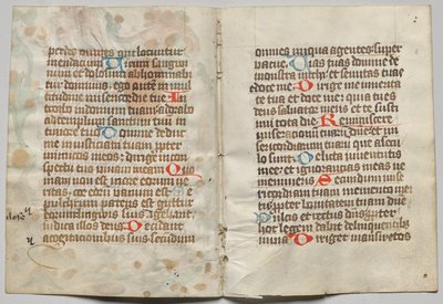 Bifolio di un Libro d