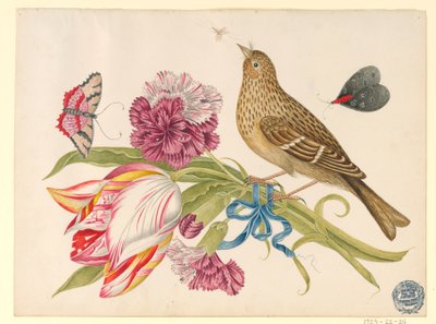 Uccello con tulipano, garofano, farfalle e insetto da Unknown artist