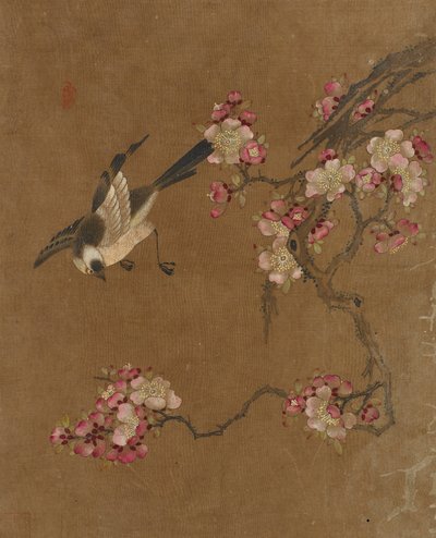 Uccelli e Fiori da Unknown artist