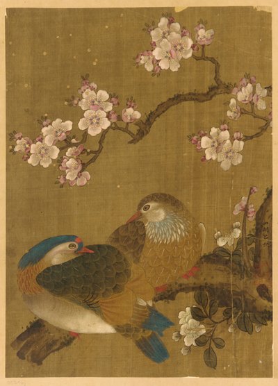 Uccelli e fiori di prugno da Unknown artist