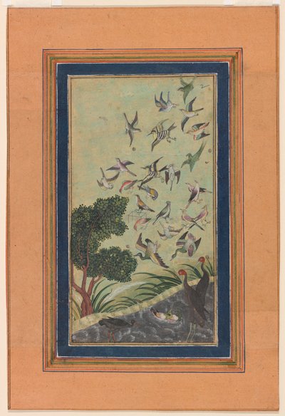 Uccelli a Baran, possibilmente dal Babur-nama da Unknown artist