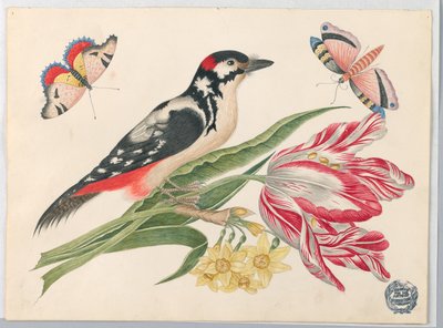Uccello maculato bianco e nero su stelo di tulipano, con narcisi e farfalle da Unknown artist
