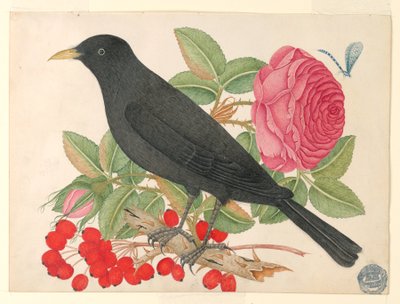 Uccello Nero con Rose da Unknown artist
