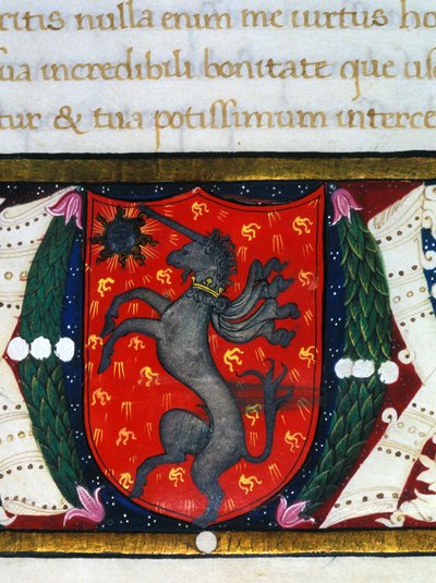 Blasone decora un unicorno, una stella su sfondo rosso. (dettaglio) di una miniatura. XIV secolo da Unknown artist