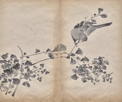 Fiori da Unknown artist