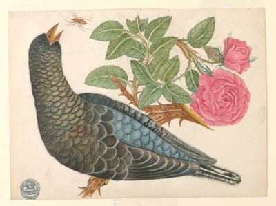 Uccello blu-nero su ramo di rosa con ragno da Unknown artist