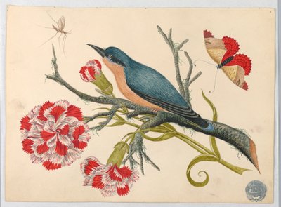 Uccello azzurro su ramo con garofani e insetti da Unknown artist