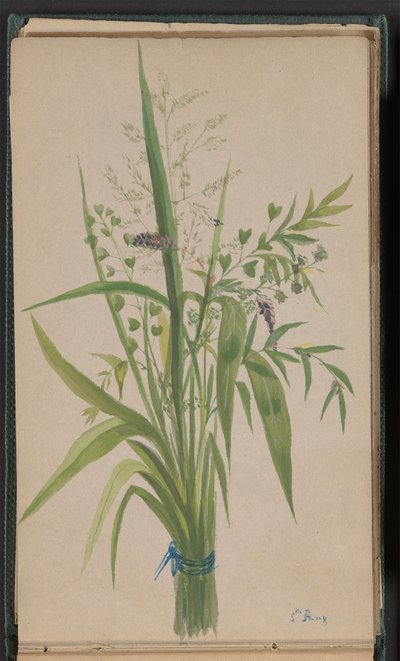 Bouquet di Fiori e Erbe da Unknown artist