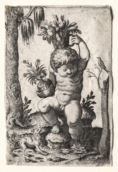 Ragazzo con cesto di frutta da Unknown artist