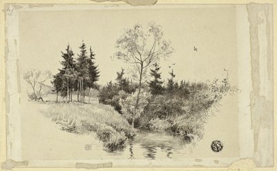 Ruscello nella foresta da Unknown artist