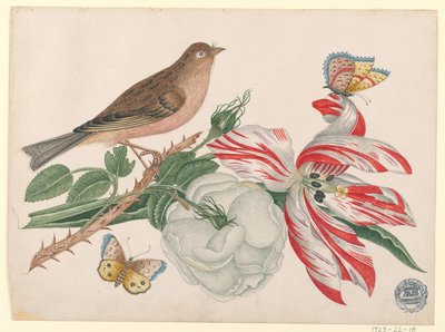 Uccello marrone su ramo con rosa, tulipano e insetti da Unknown artist