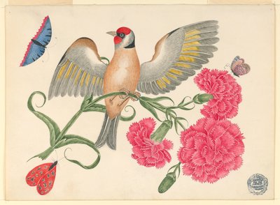 Uccello Marrone con Testa Rossa su Stelo di Garofano con Farfalle da Unknown artist