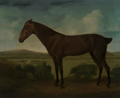 Cavallo marrone in un paesaggio collinare da Unknown artist