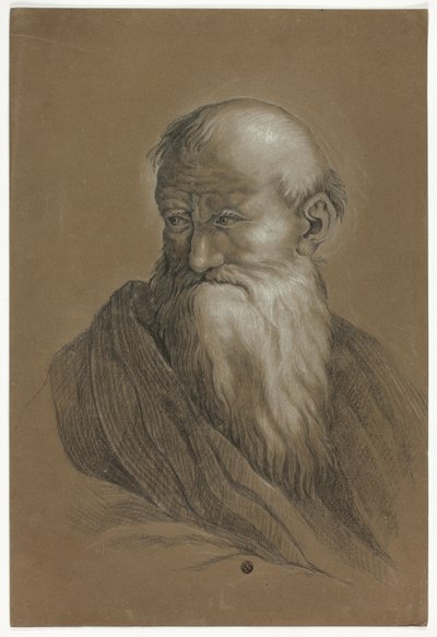 Busto di vecchio barbuto da Unknown artist