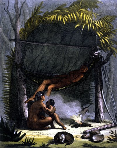 Capanna dei Puris in Brasile - in "Il costume antico e moderno" di Ferrario, ed. Milano da Unknown artist