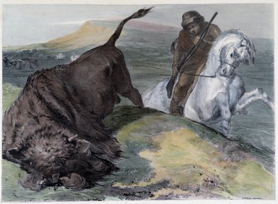 Caccia al bufalo degli Uroni canadesi - in "Schizzi del Canada" di Coke Smyth, Londra da Unknown artist