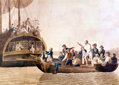 Il capitano William Bligh (1754 - 1817) del Bounty abbandonato dal suo equipaggio. da Unknown artist