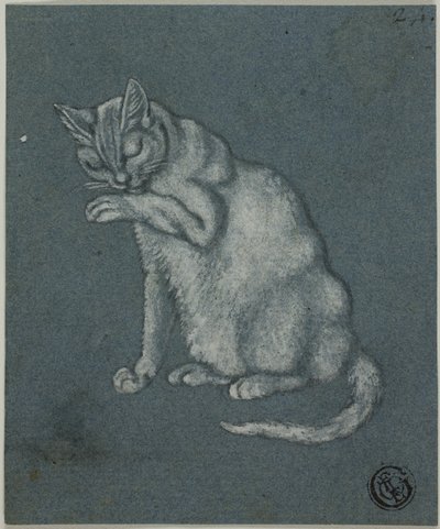 Gatto che lecca la zampa da Unknown artist