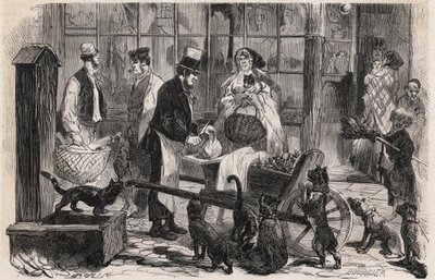 Il venditore di carne per gatti in una strada del quartiere di Westminster a Londra, un venditore ambulante di carne di cavallo per cani e gatti - Incisione in "The Illustrous World" da Unknown artist