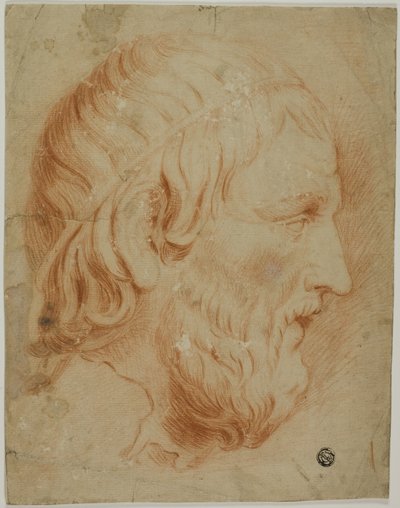 Profilo classico di uomo barbuto da Unknown artist