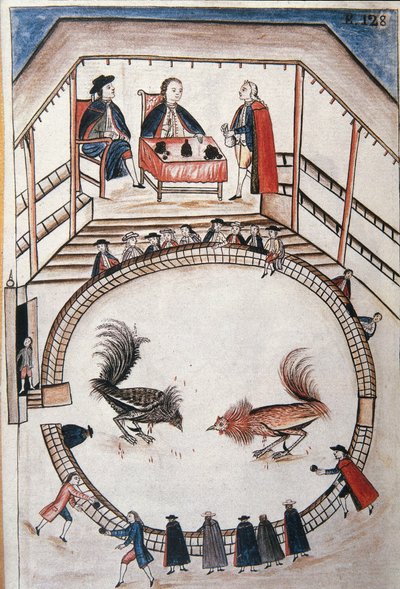 Combattimento di galli, un nobile assiste al duello, dal libro "Trujillo del Peru" o "Codice Martínez Compañón", di Baltazar Martinez Compañón y Bujanda, vescovo di Trujillo (1782-1785) da Unknown artist