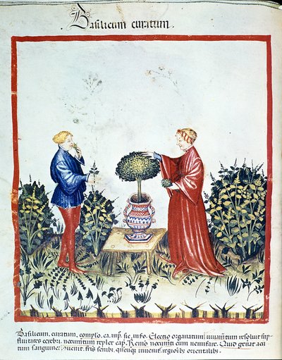 Raccolta di basilico. Miniatura dal trattato di medicina e dietetica "Tacuinum sanitatis" dopo il trattato di medicina "Kitabtaqwim as-sihha" di Ibn Butlan da Unknown artist