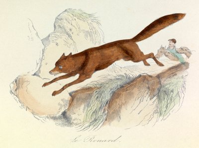 "Completes de Buffon" con la nomenclatura di Linneene e la classificazione di Cuvier: Gli animali: La volpe (incisione) da Unknown artist
