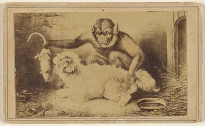 [Copia di un dipinto che raffigura una scimmia che tiene un topo per la coda davanti a un piccolo cane bianco]. da Unknown artist