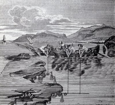 Pesca del corallo con l