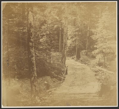 [Corduroy Road sulla strada per Harper