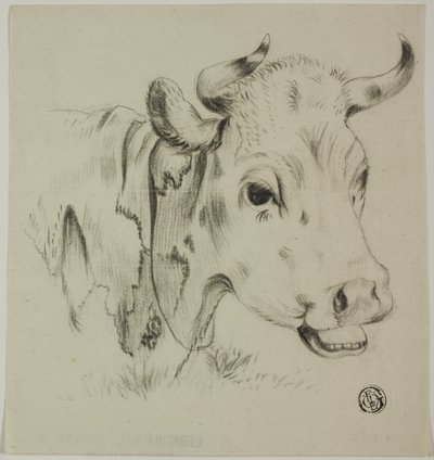 Testa di mucca da Unknown artist