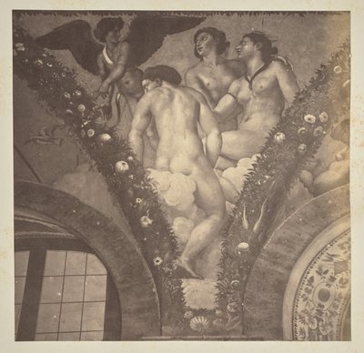 Cupido mostra Psiche alle tre Grazie da Unknown artist