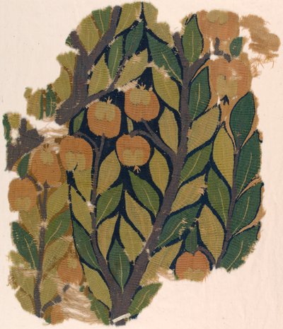 Frammento di bordo di tenda da Unknown artist