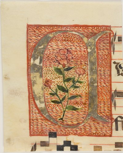 Iniziale decorata "A" con fiore da un manoscritto da Unknown artist