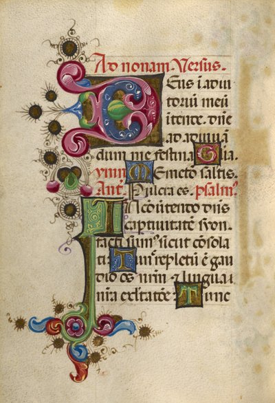 Iniziale decorata D; iniziale decorata I da Unknown artist