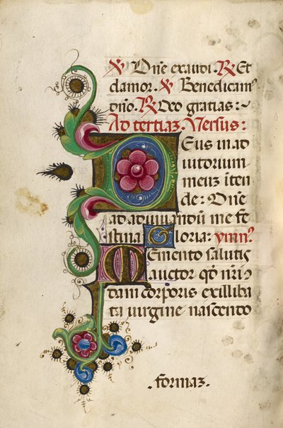 Iniziale decorata D; iniziale decorata M da Unknown artist