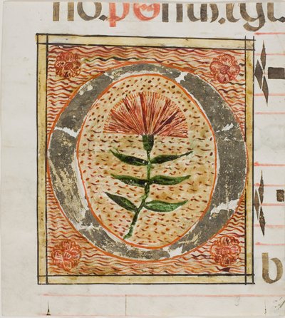 Iniziale "O" decorata con fiori da un manoscritto da Unknown artist
