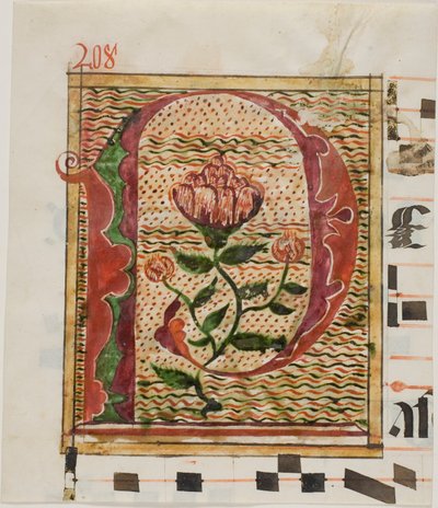 Iniziale "P" decorata con fiori da un manoscritto da Unknown artist