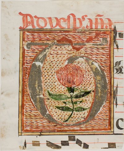 Iniziale "T" decorata con fiore da un manoscritto da Unknown artist