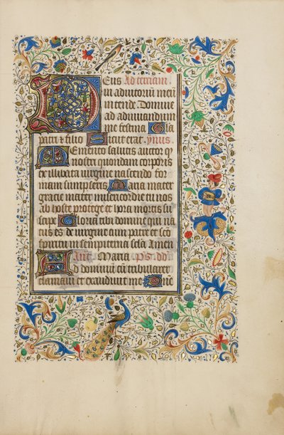 Pagina di testo decorata da Unknown artist