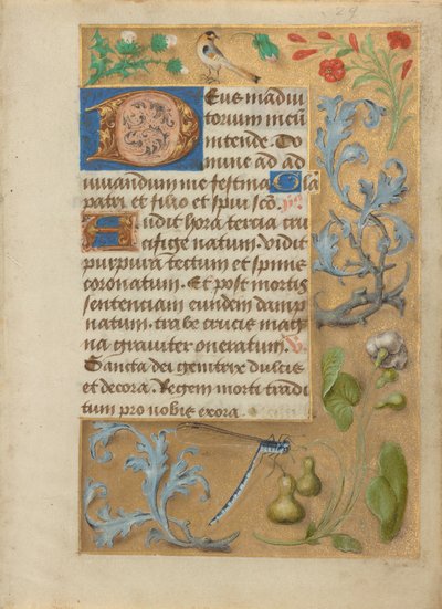 Pagina di testo decorata da Unknown artist