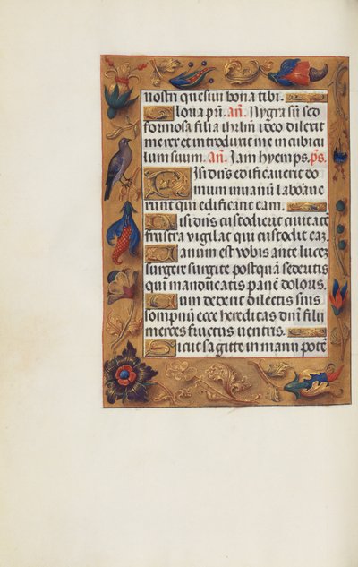 Pagina di testo decorata da Unknown artist